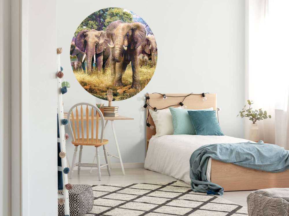 Elephant Faily
