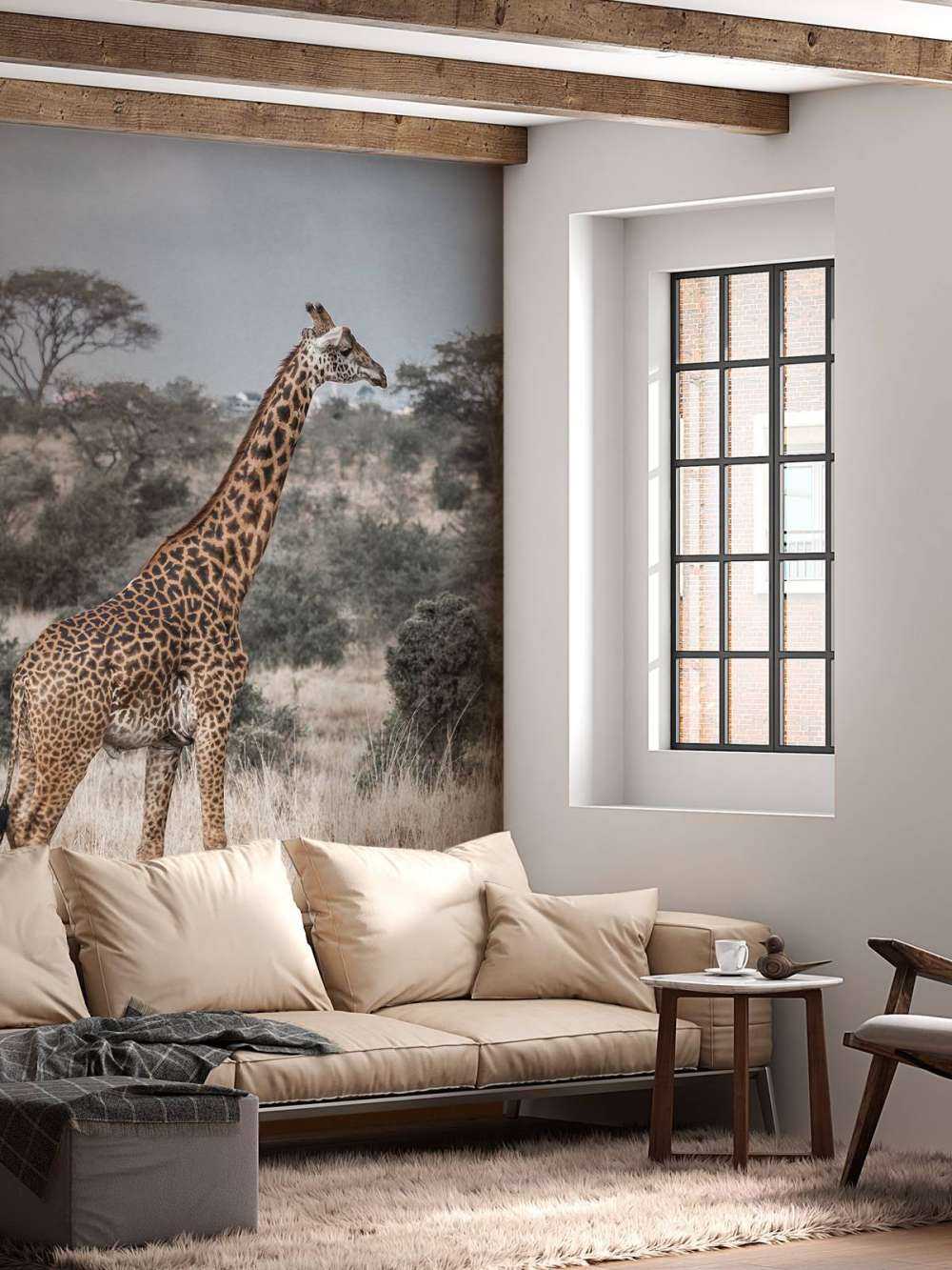 Giraffen-Portrait