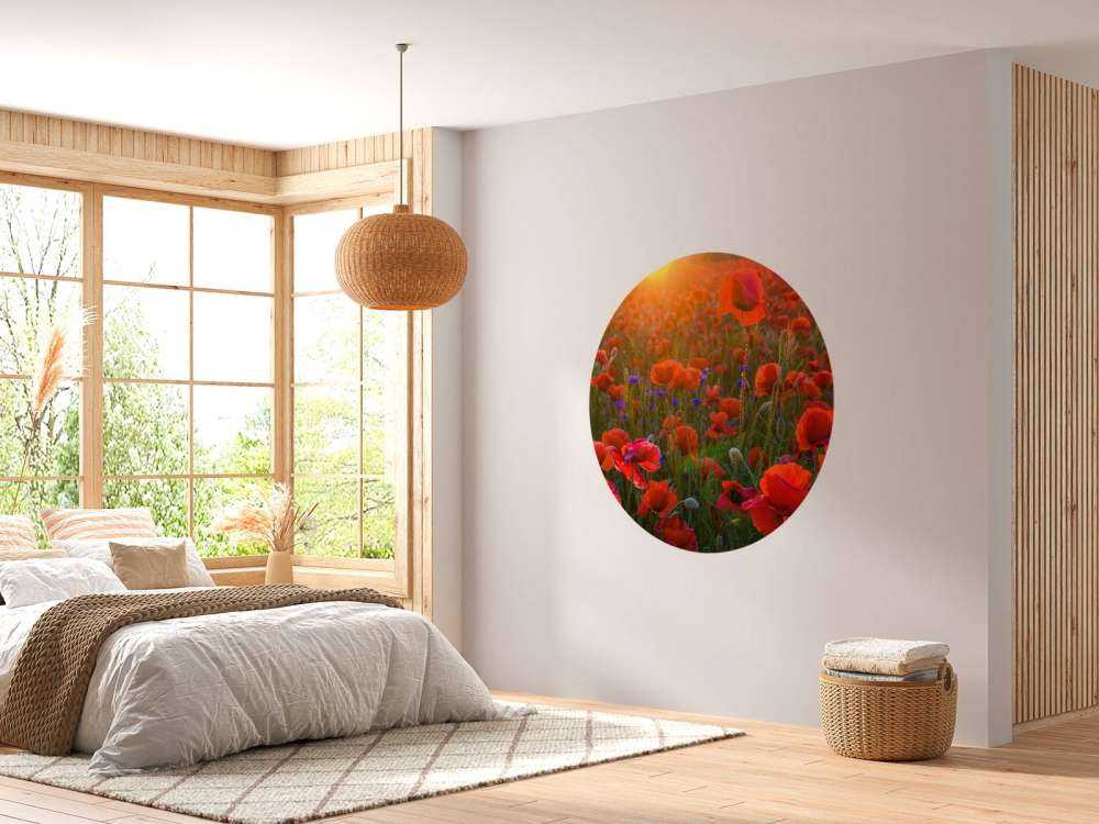 Mohnblumen mit aufgehender Sonne