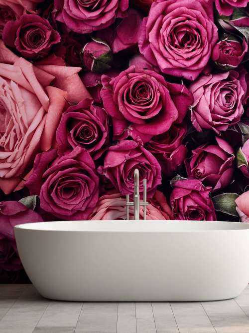 Rosa Rosen
