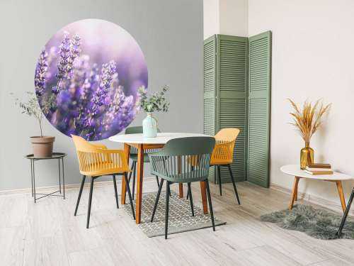 Verträumter Lavendel