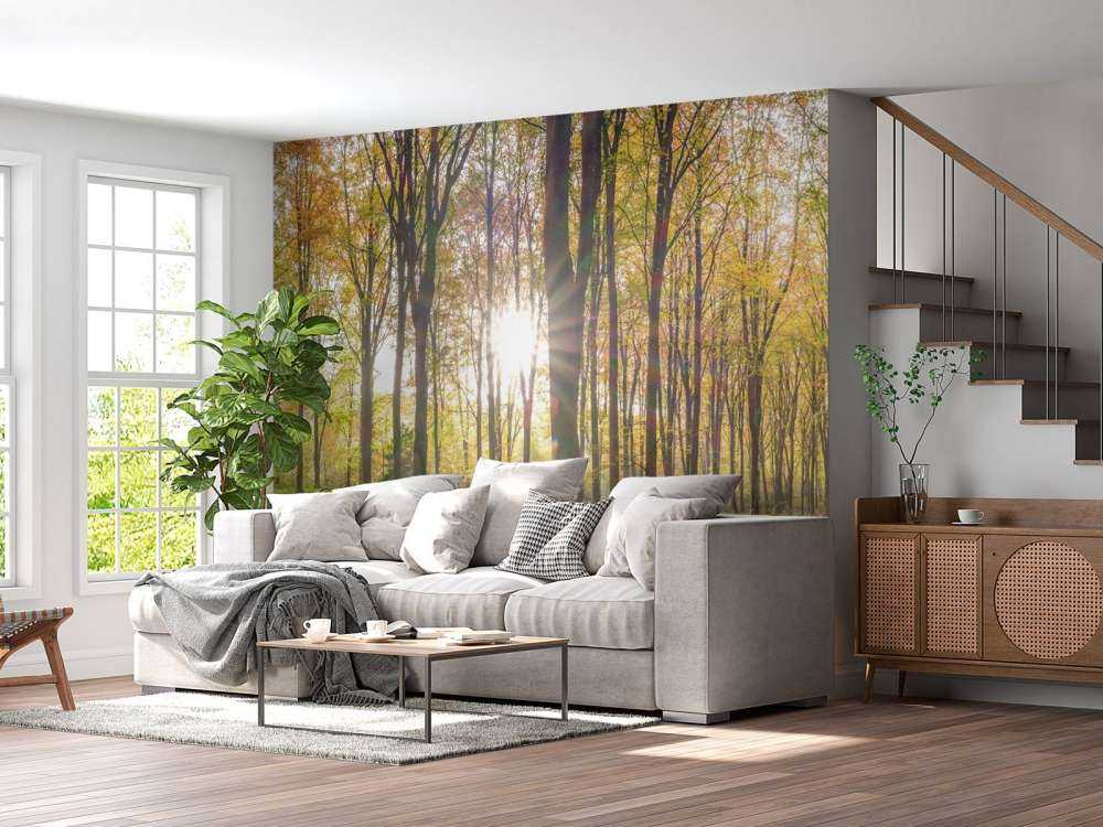 Sonnenlicht durch den Herbstwald