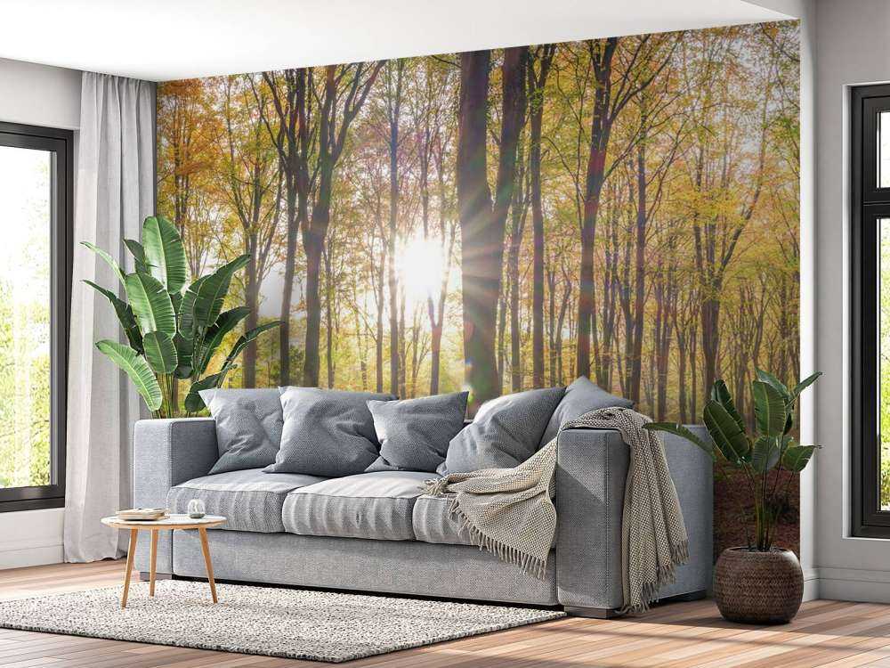 Sonnenlicht durch den Herbstwald