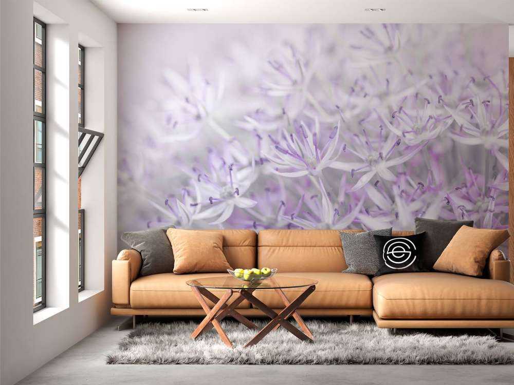 Allium-Blüten in Nahaufnahme