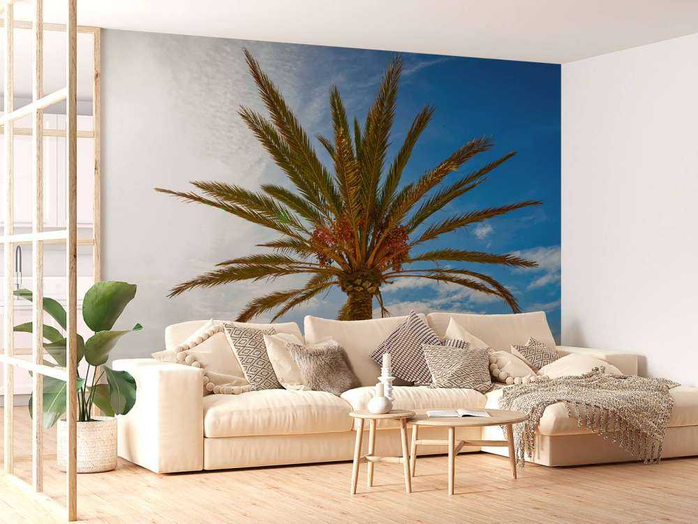 Wunderschöne Palme