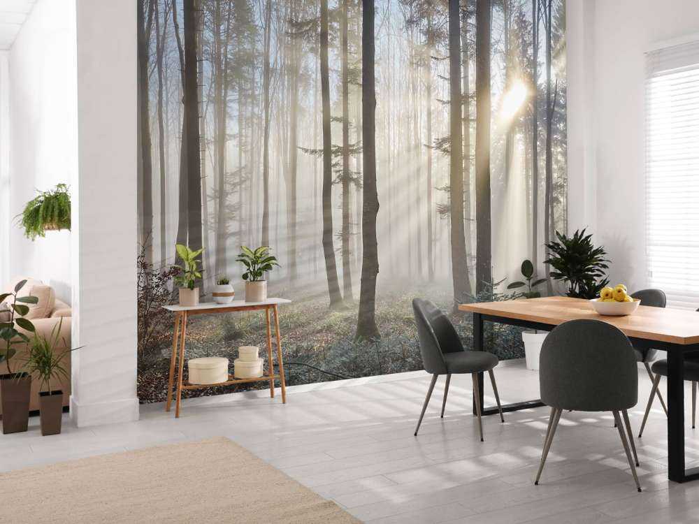 Nebliger Wald