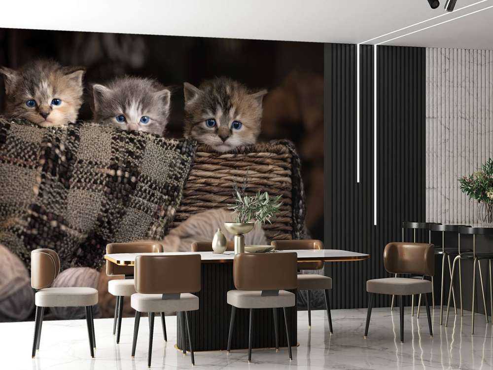 Drei Katzen in einem Korb