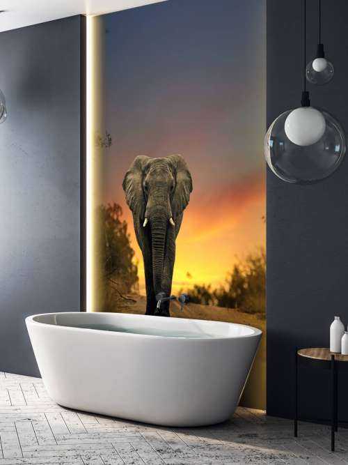 Elefant mit Sonnenuntergang