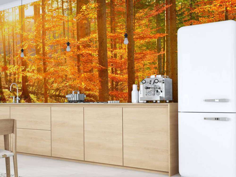 Herbst Wald