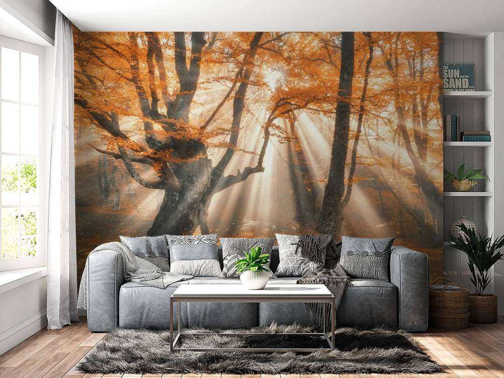 Magischer Herbstwald