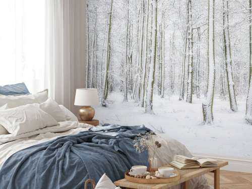 Wald mit Schnee