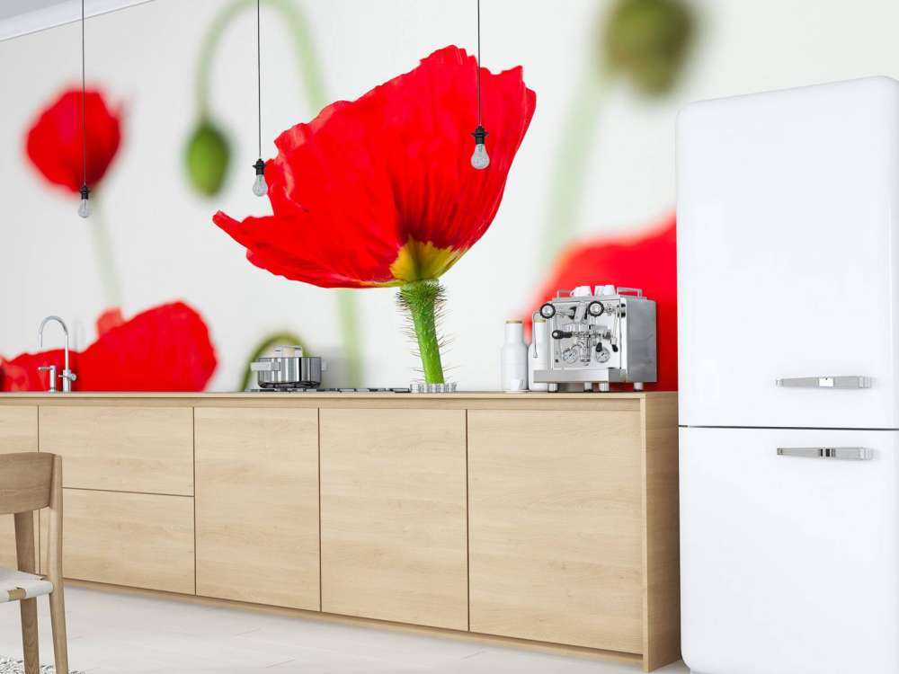 Nahaufnahme rote Mohnblumen