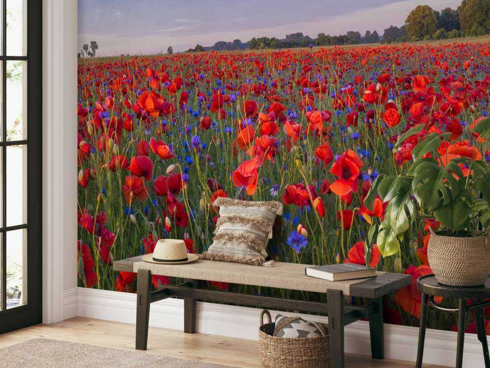 Blaue Blumen und rote Mohnblumen