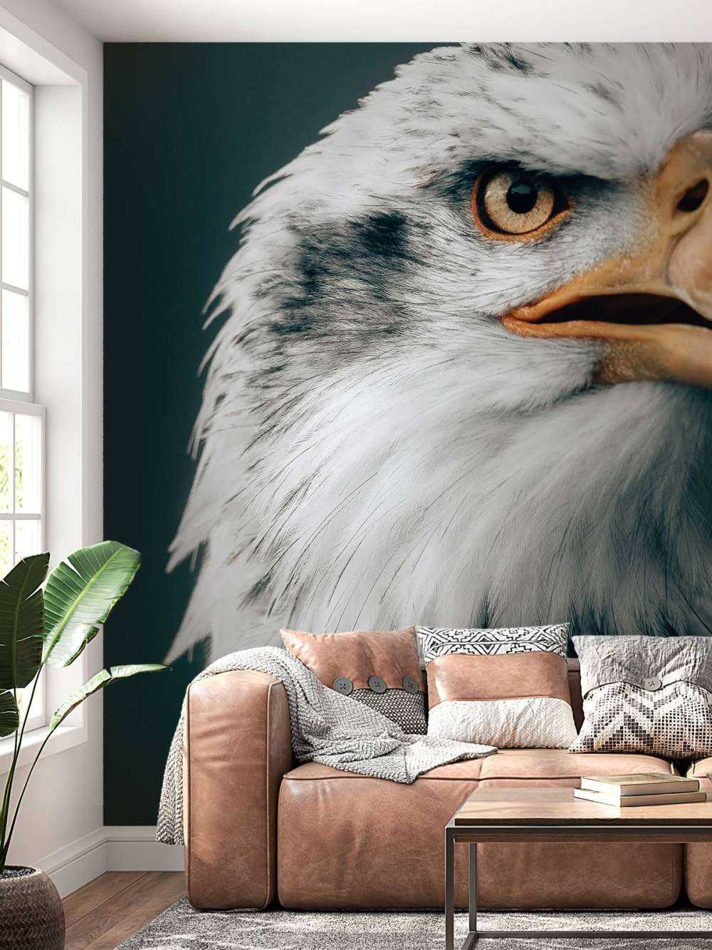 Schauender Seeadler