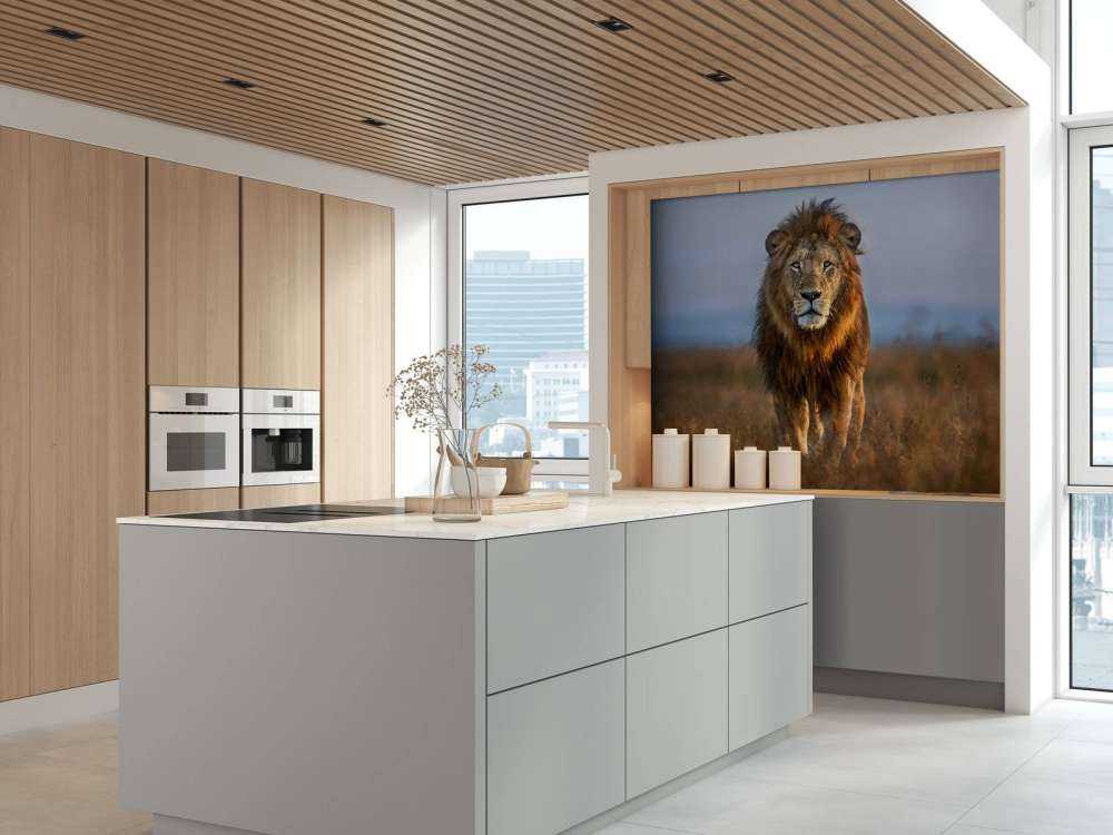 Lion Close Up
