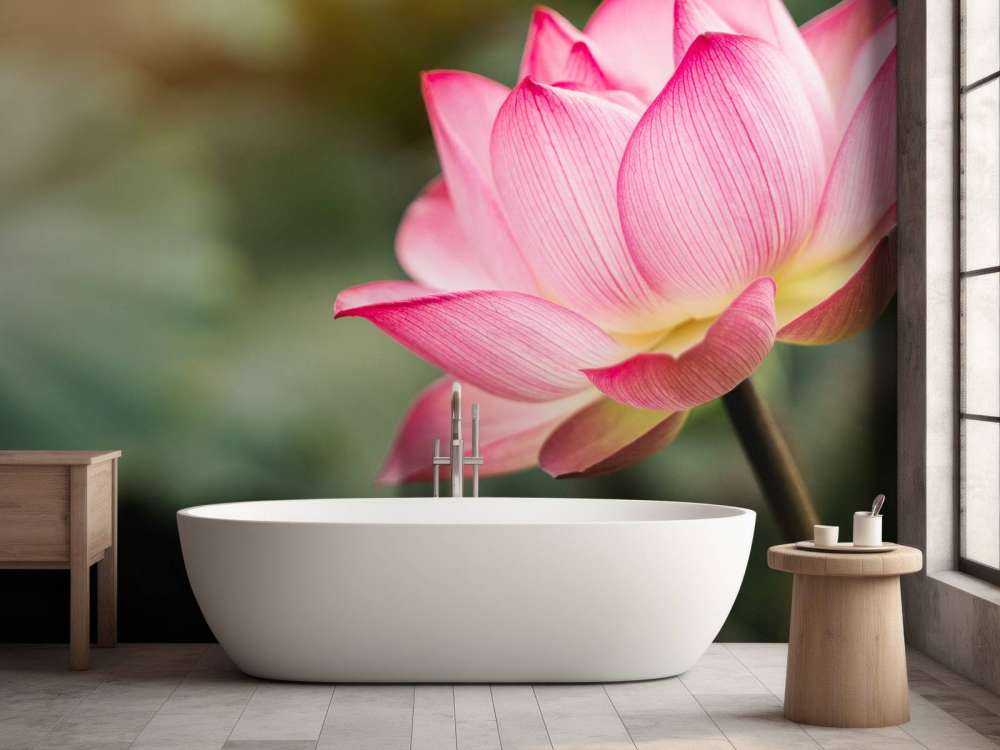 Lotus in Grün