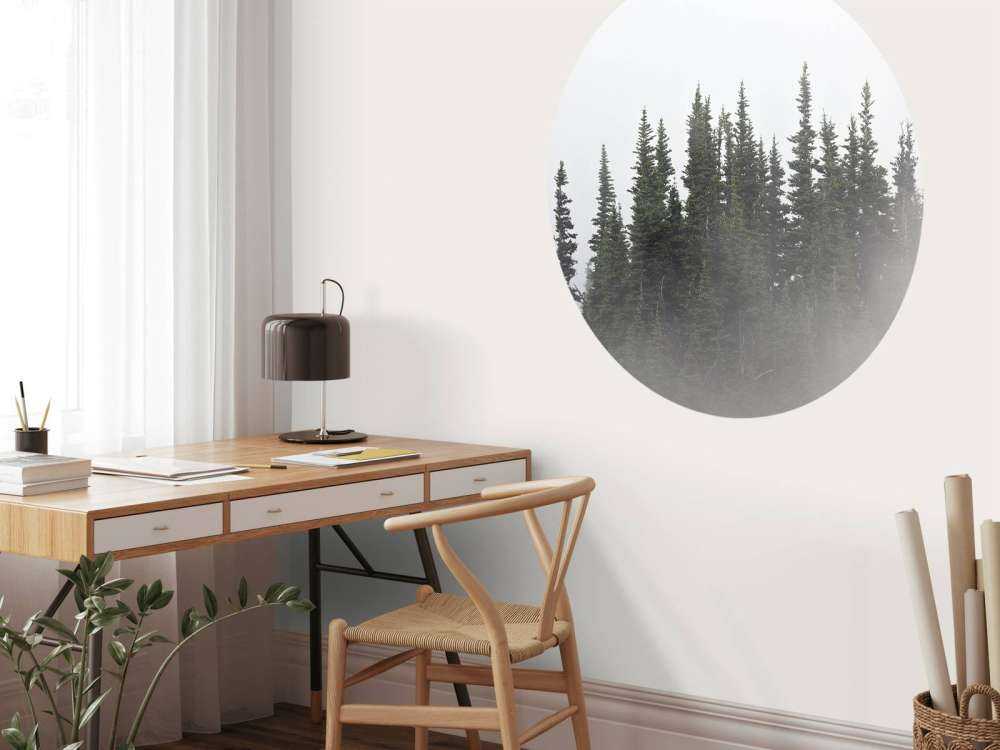 Bäume im Nebel - Wallexclusive
