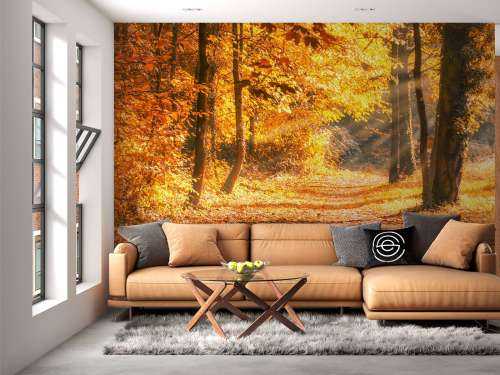 Panorama im Herbst