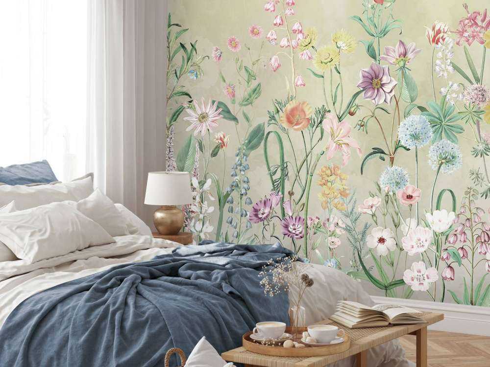 Primula 1