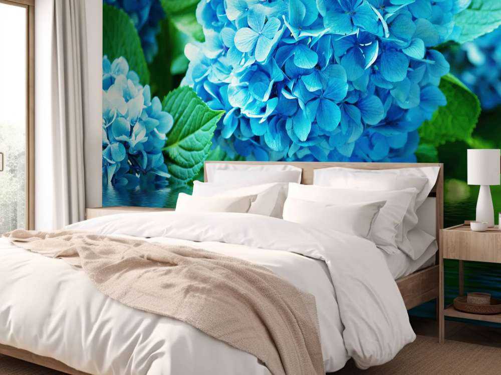 Hortensie im Wasser