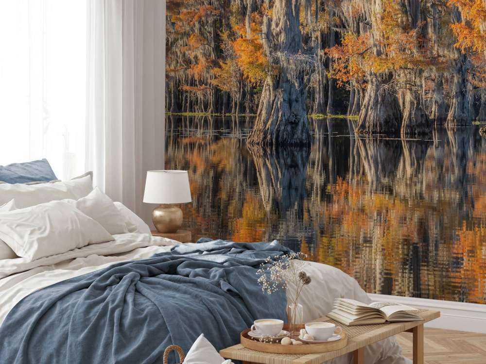 Caddo lake 4