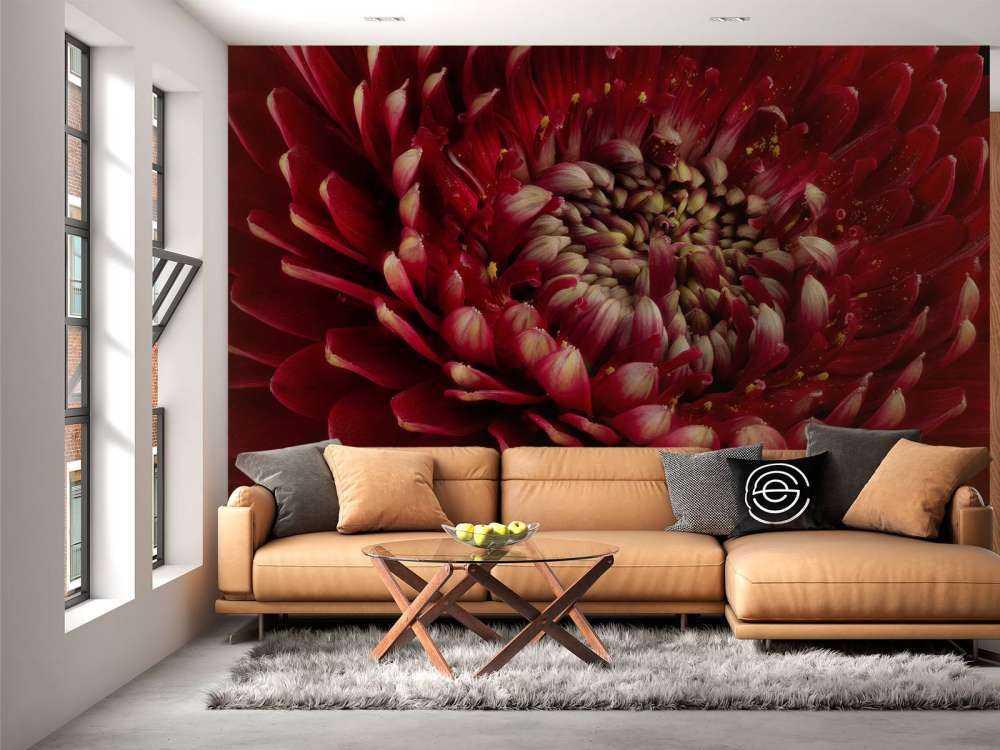 Rote Blume