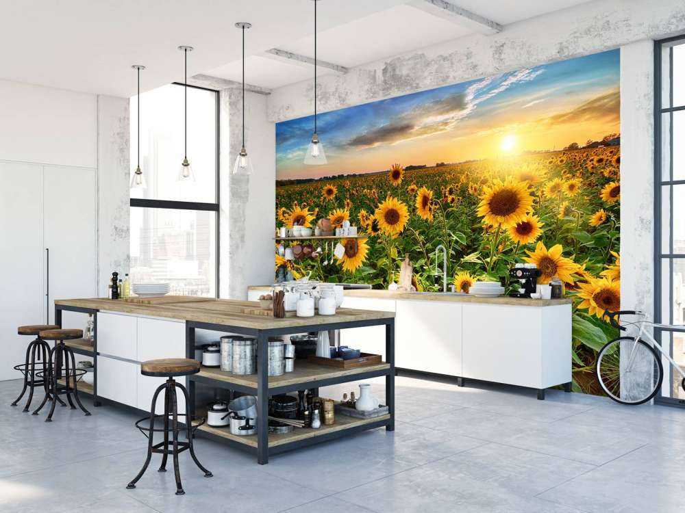 Schönes Sonnenblumenfeld