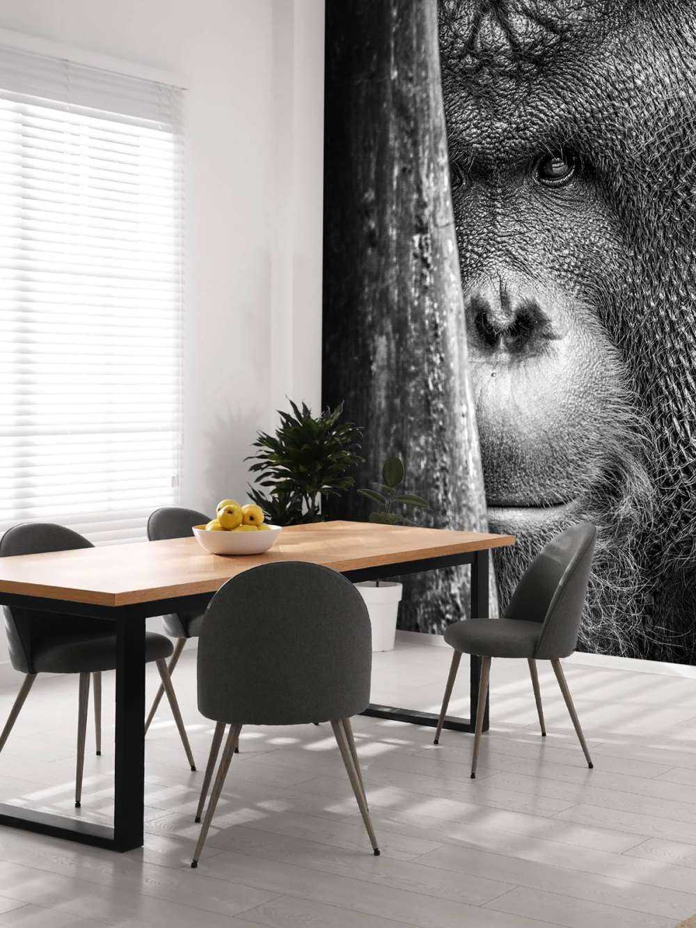 Orang-Utan schwarz-weiß