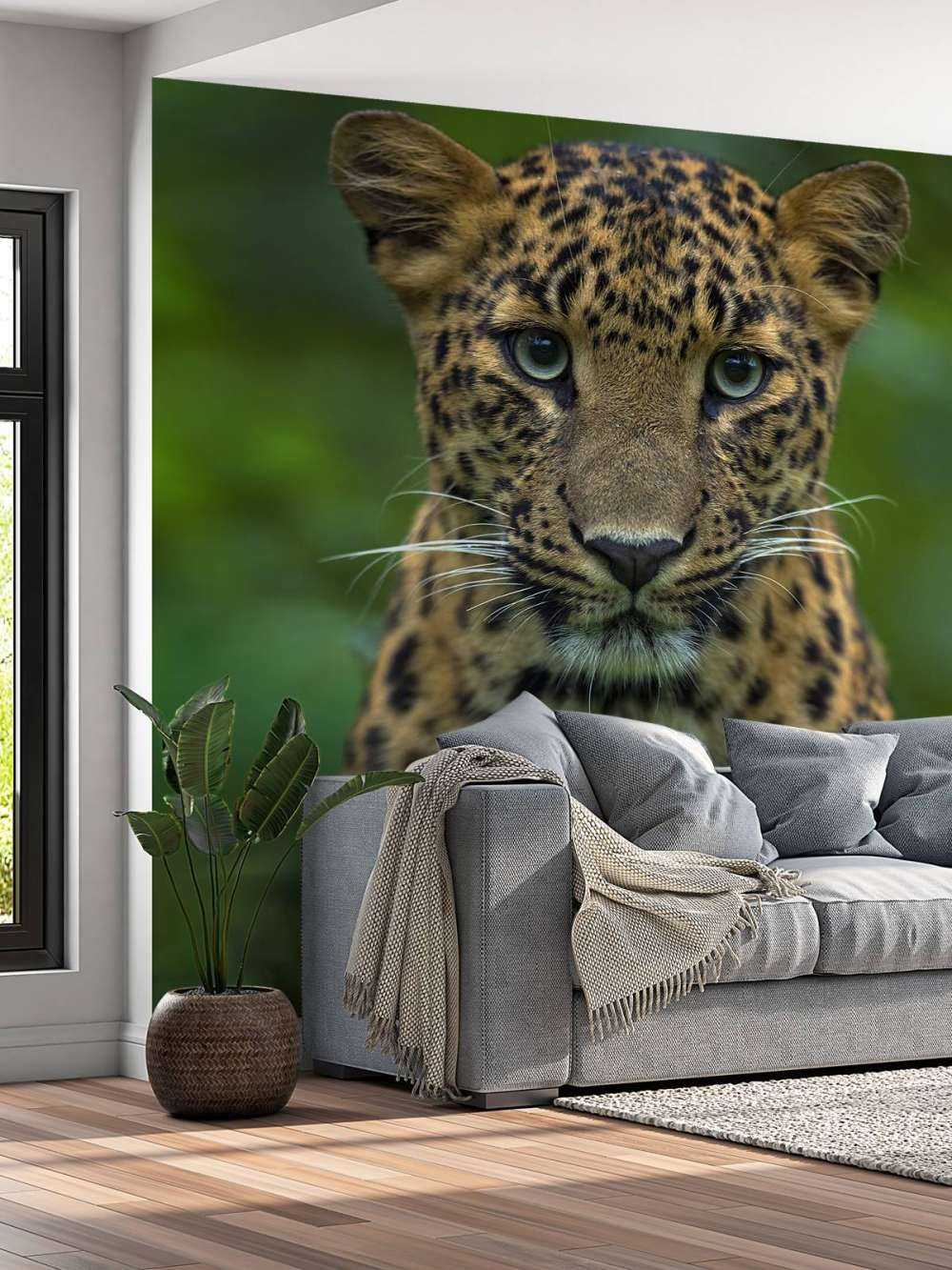 Fokussierter Leopard