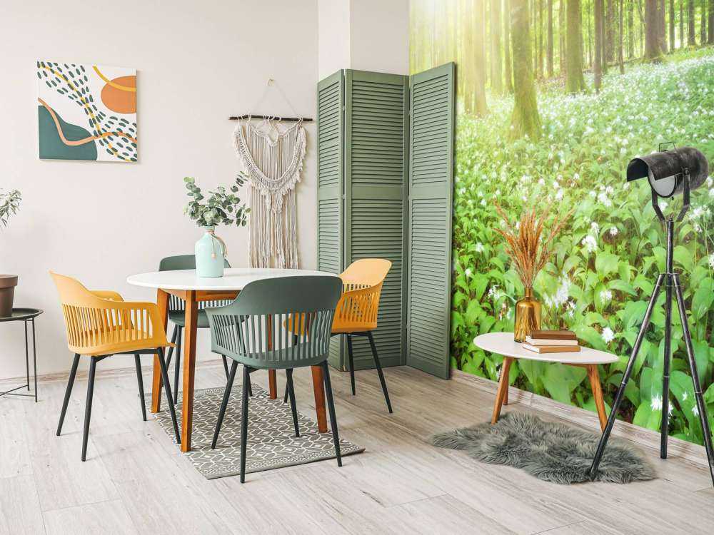 Wilder Wald mit Sonnenaufgang