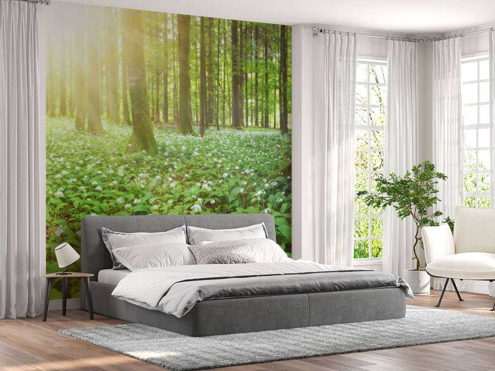 Wilder Wald mit Sonnenaufgang