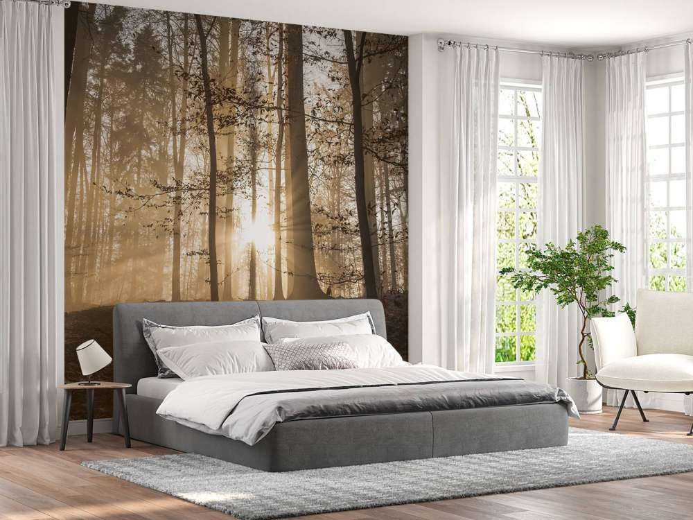 Sonnenstrahlen in einem nebligen Wald