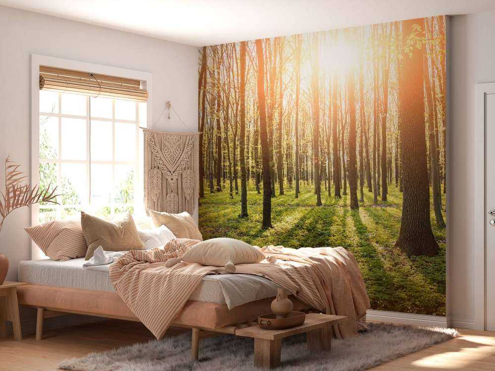 Sonnenstrahlen im Wald