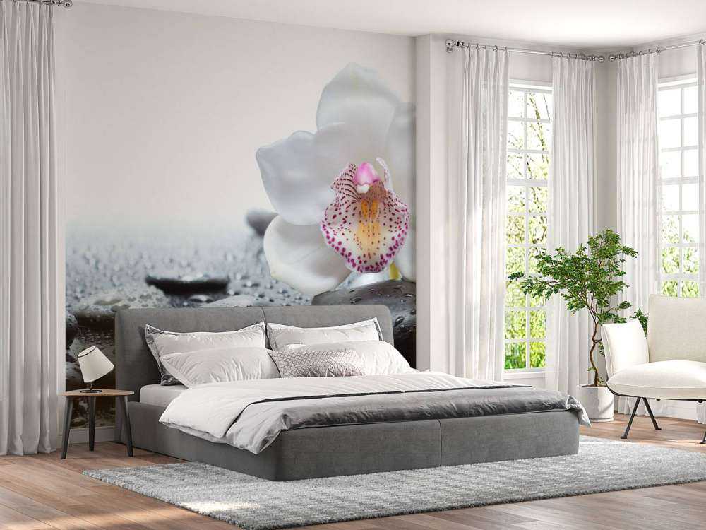 Weiße Orchidee auf Fototapete