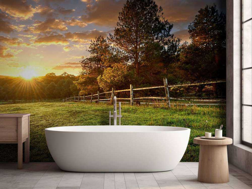 Weide mit Sonnenuntergang