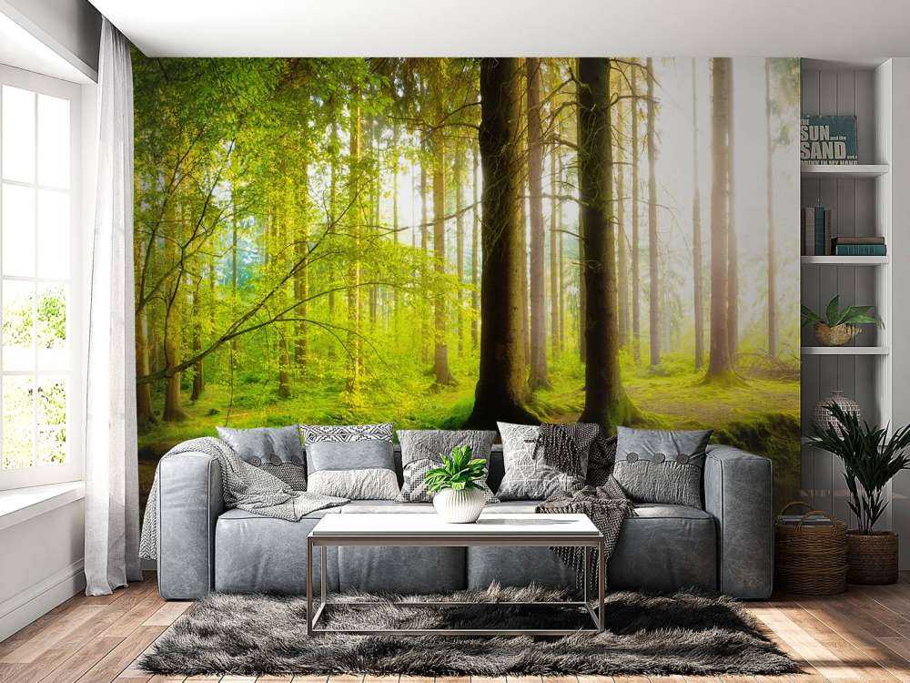Frischer grüner Wald