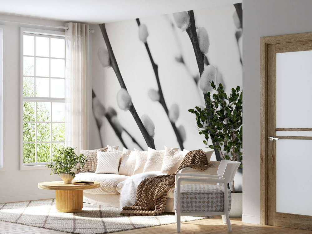 Waldweide in Schwarz und Weiß