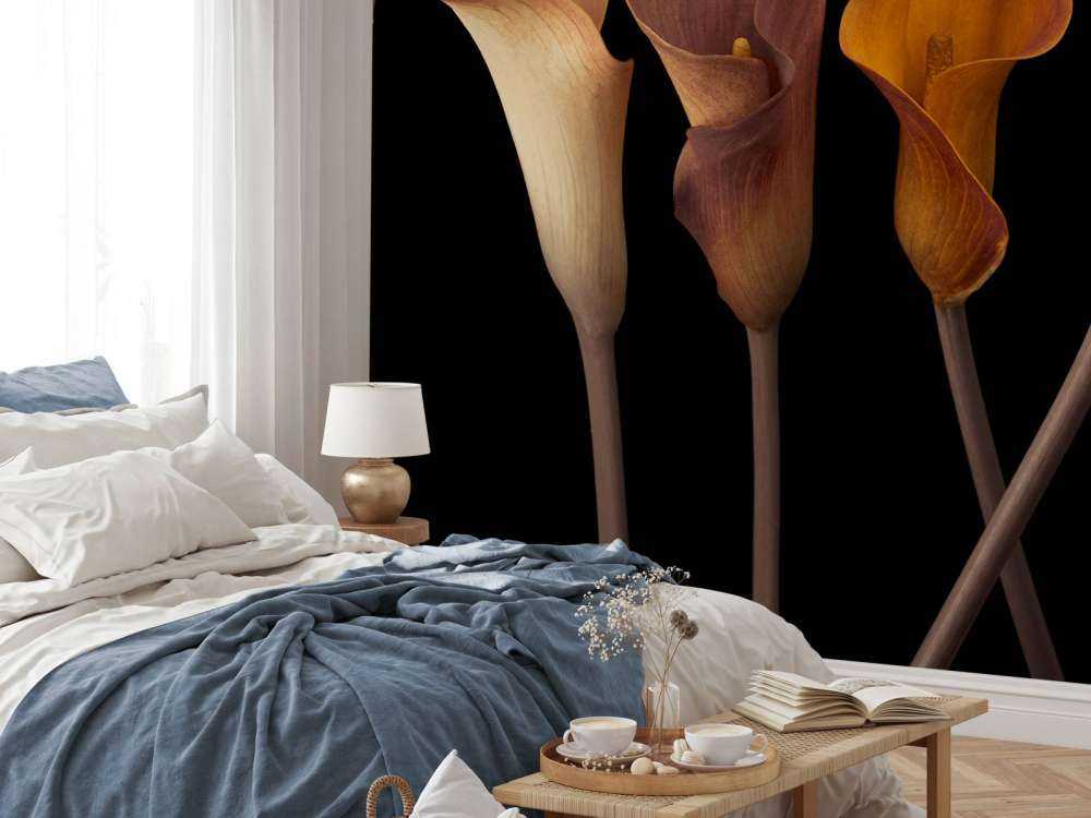 Calla-Lilien