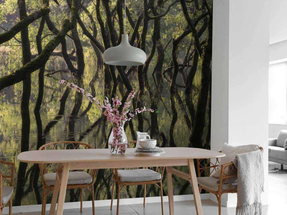 Sunken Forest