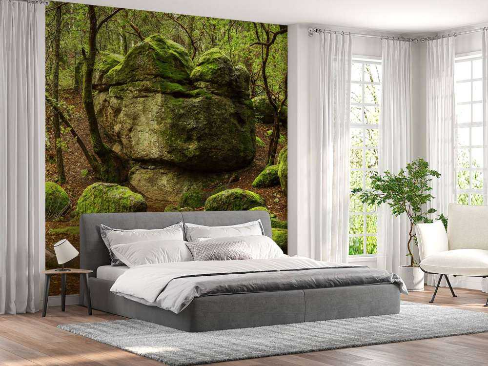 Zauberhafter Wald