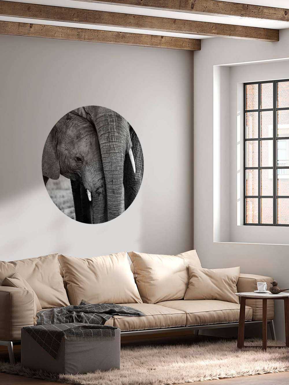 Kuschelnde Elefanten