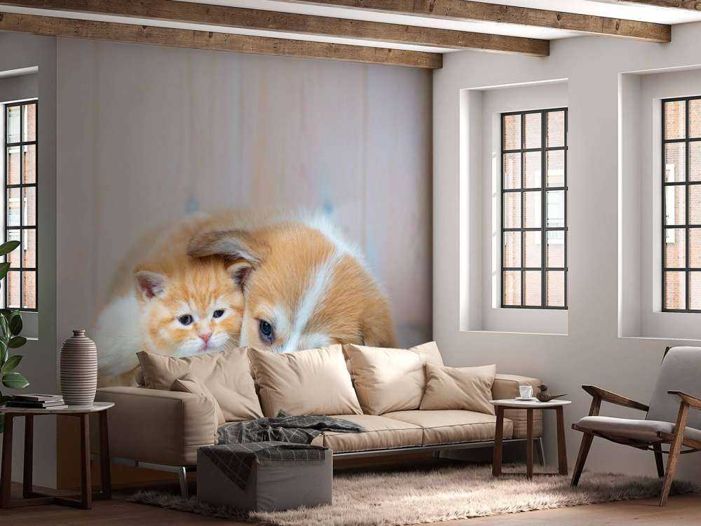 Katzentapete. Bild eines Kätzchens und eines Welpen.