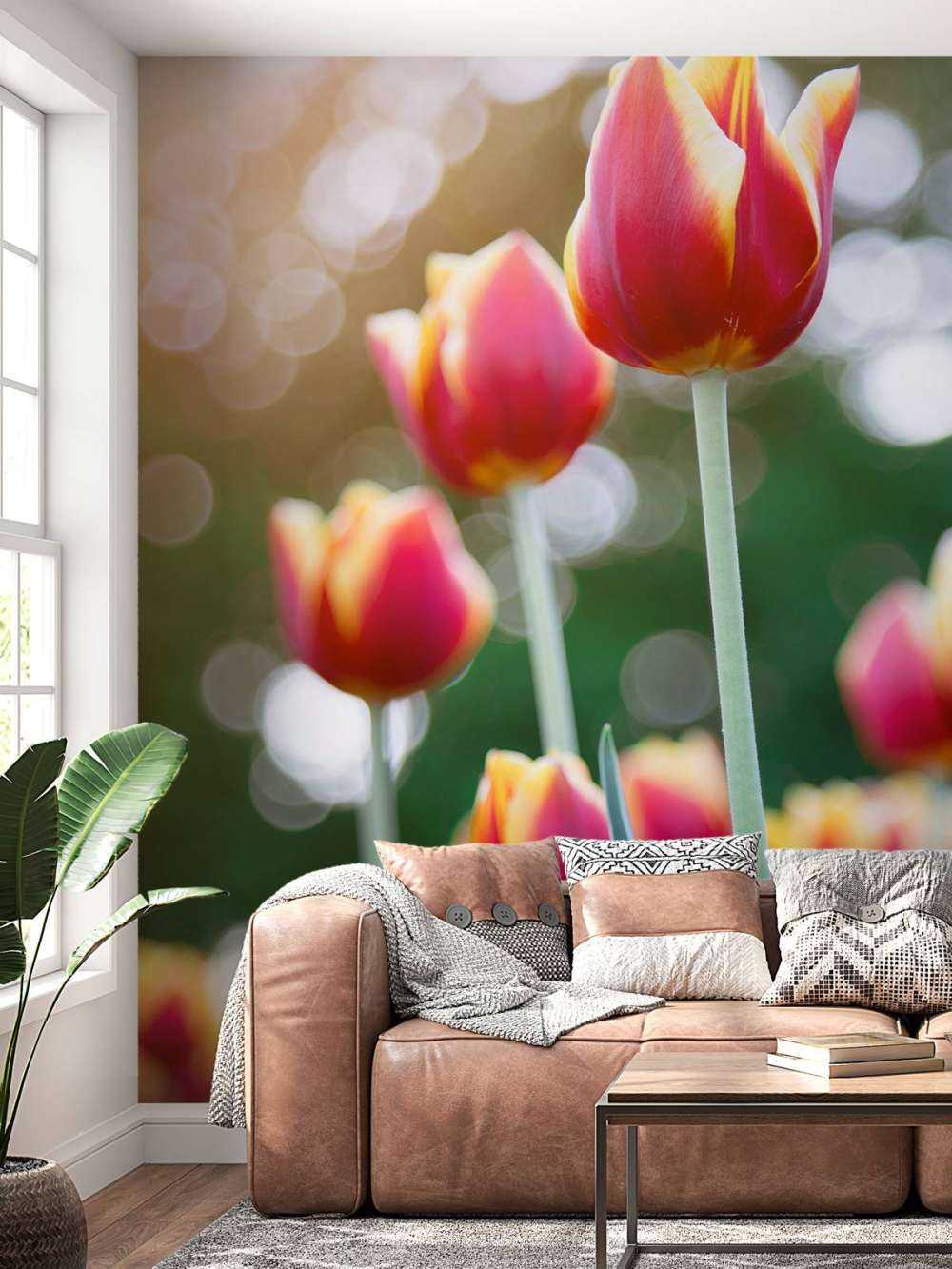 Rot mit gelben Tulpen