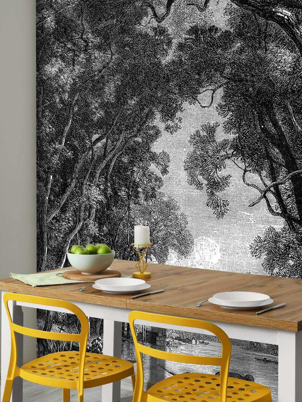 Alter Fluss im Dschungel