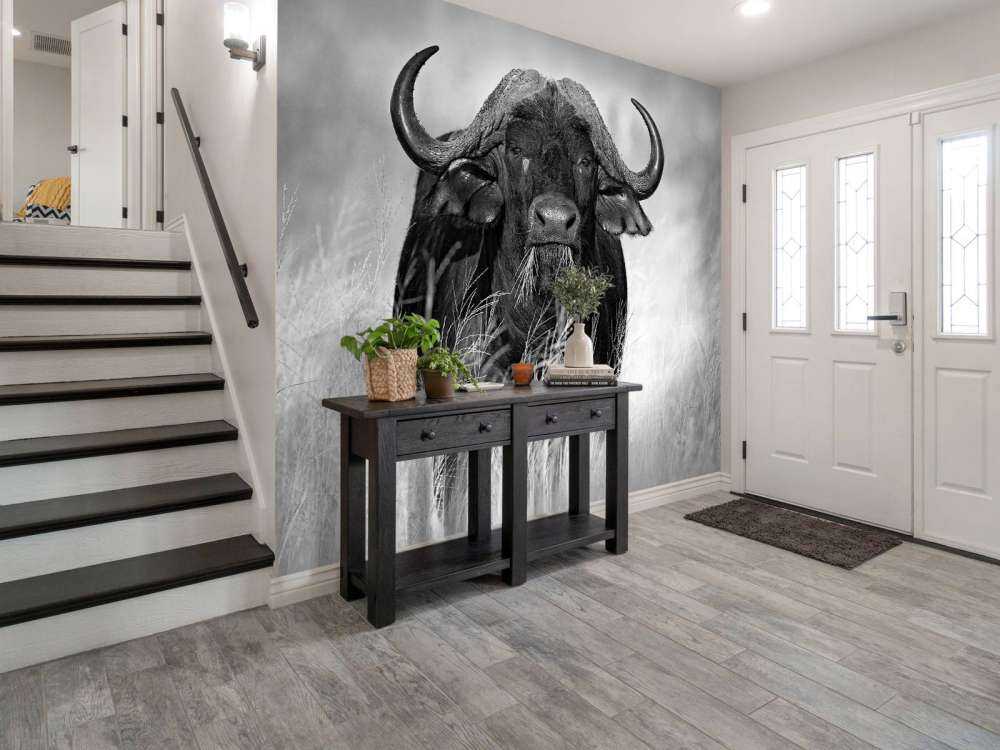 Büffel in Schwarz und Weiß