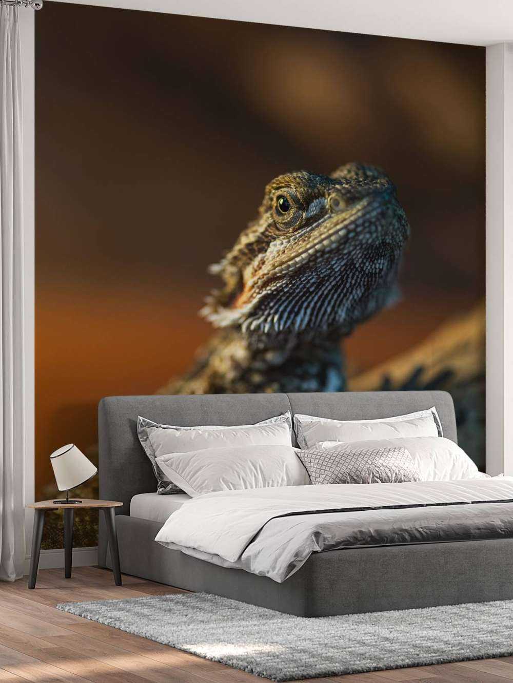 Nahaufnahme Chamäleon