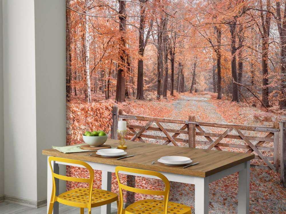 Passage zum Herbstwald