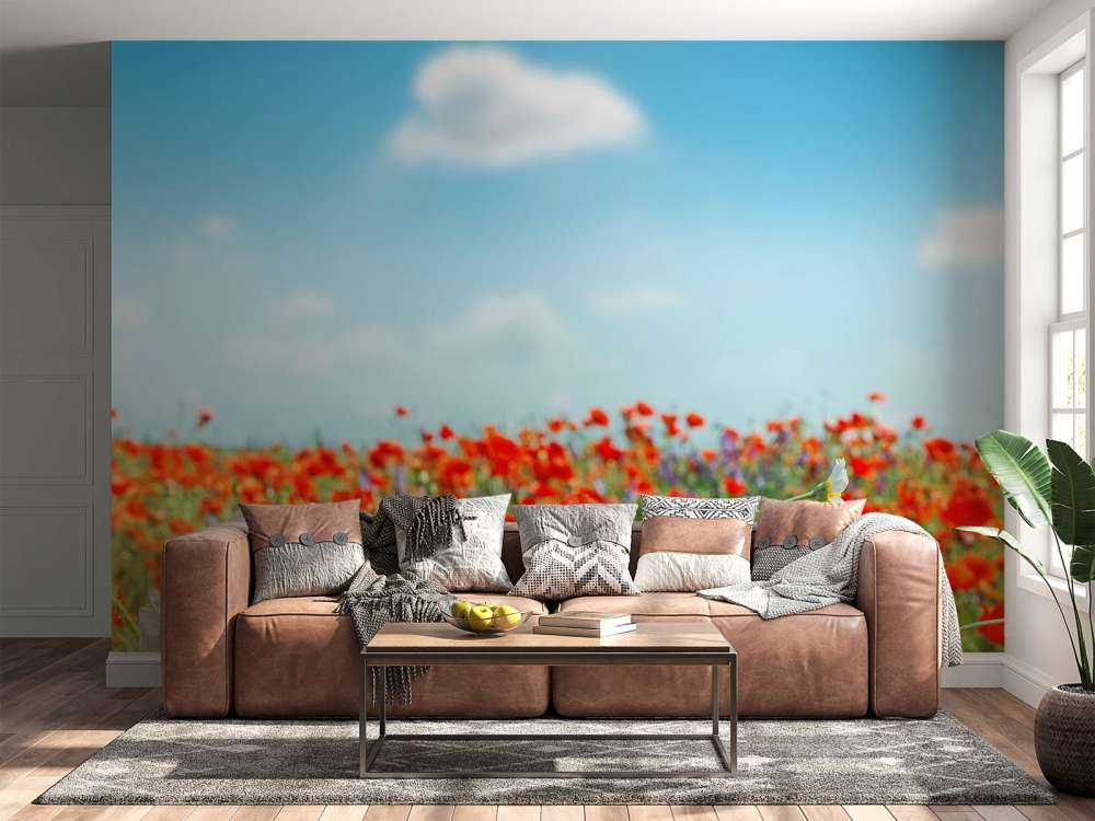 Mohnblumen und Gänseblümchen