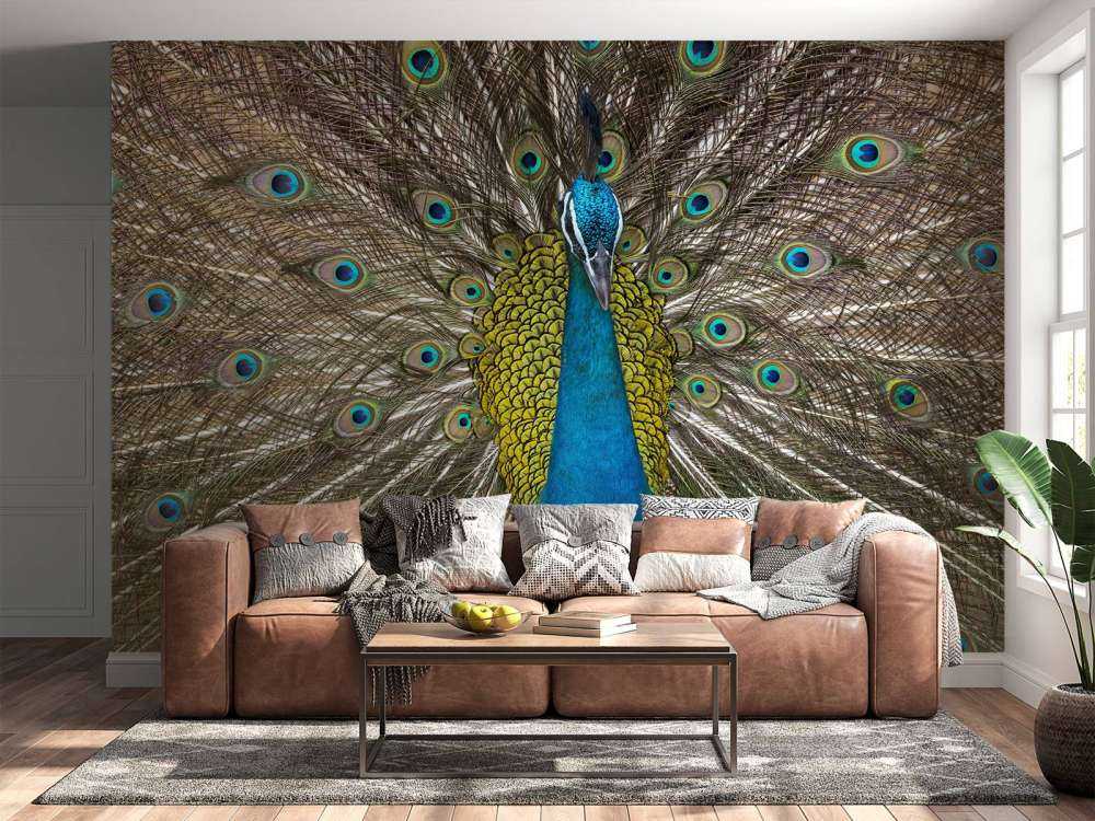 Pfau mit aufgeplusterter Federn