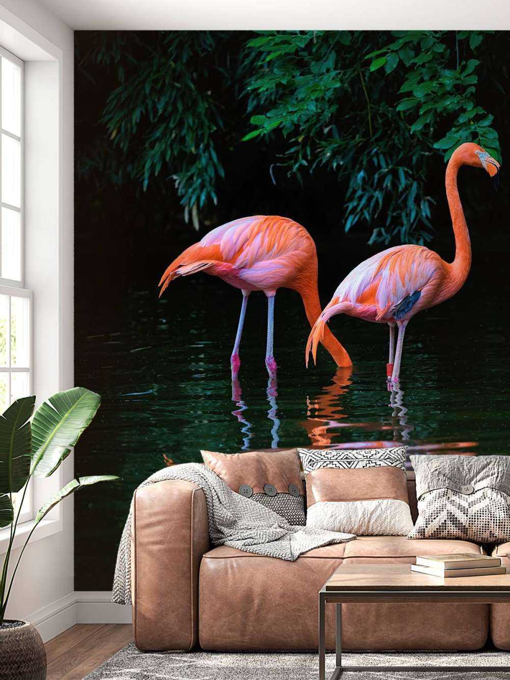 Karibische Flamingos
